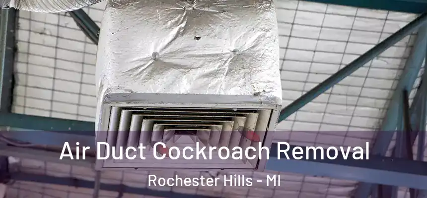  Air Duct Cockroach Removal Rochester Hills - MI