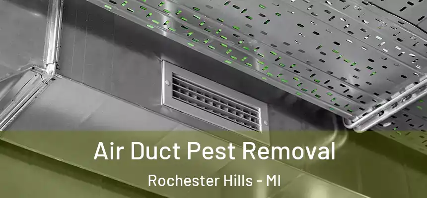  Air Duct Pest Removal Rochester Hills - MI