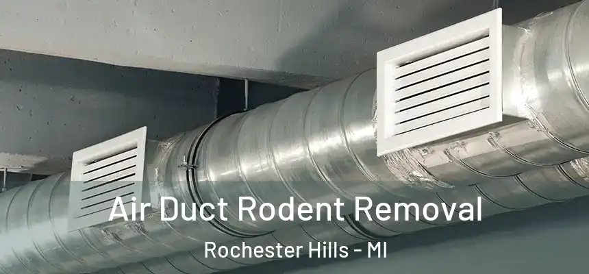  Air Duct Rodent Removal Rochester Hills - MI