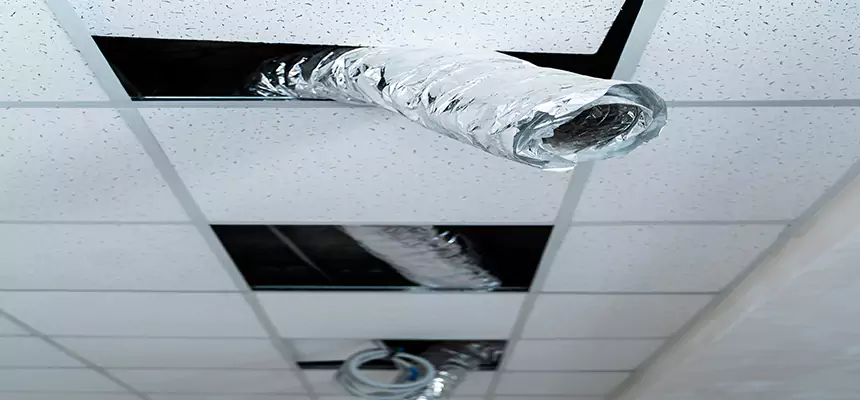 Affordable HVAC Sanitizing After Pest Removal in Rochester Hills