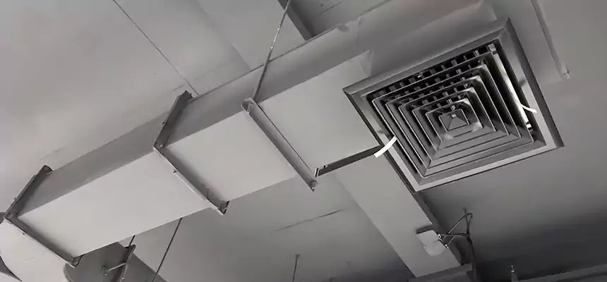 Restorative Allergy Relief Vent Cleaning – Coil, Blower & Housing Detail in Rochester Hills