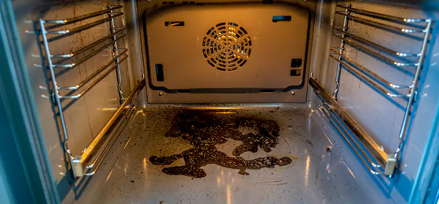 Our Dryer Vent Mold Cleaning Services in Rochester Hills, MI