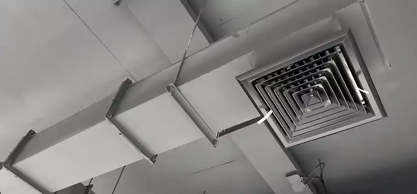 Our Rodent Droppings In Vents Services in Rochester Hills, MI