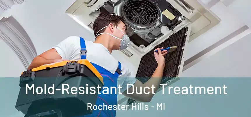  Mold-Resistant Duct Treatment Rochester Hills - MI