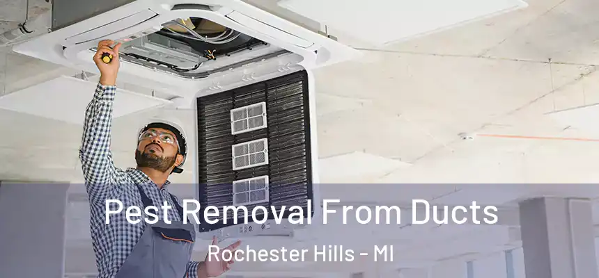 Pest Removal From Ducts Rochester Hills - MI
