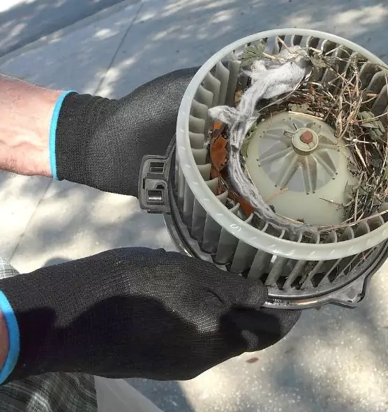 About Air Duct Mice Removal in Rochester Hills, MI