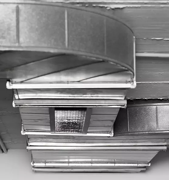 Professional Air Duct Pet Hair Removal in Rochester Hills, MI