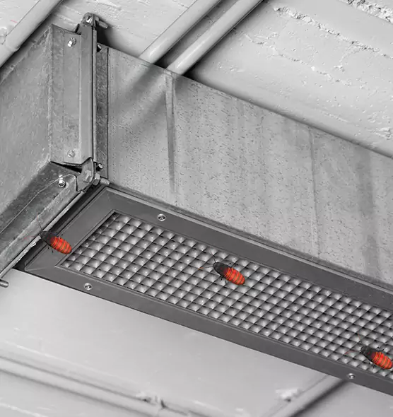 Affordable Insect Removal from Air Ducts in Rochester Hills, MI