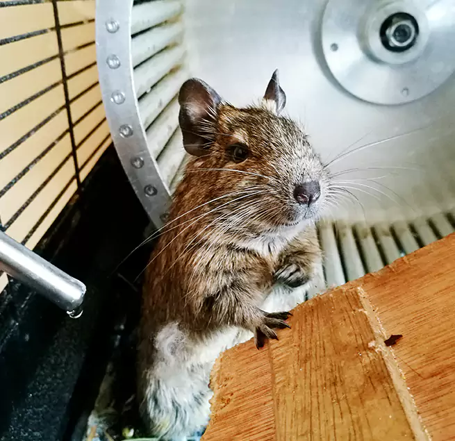 Why Homeowners & Businesses Trust Us Rochester Hills, MI?